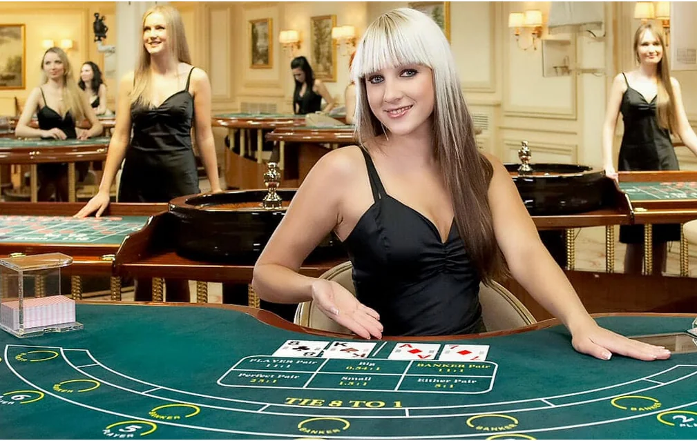 Tampilan dealer dan meja permainan kasino live